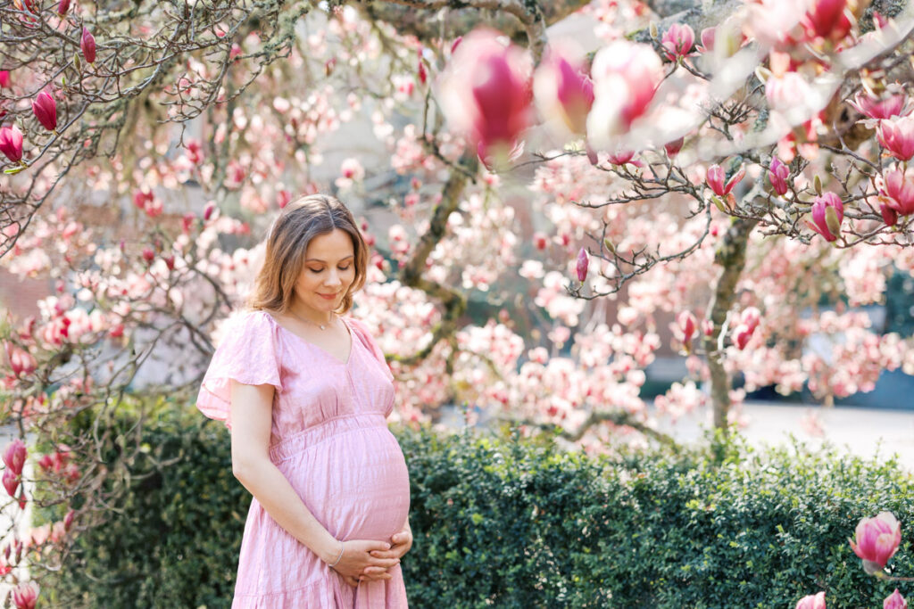 Bay Area Filoli maternity photography session in springtime with magnolias