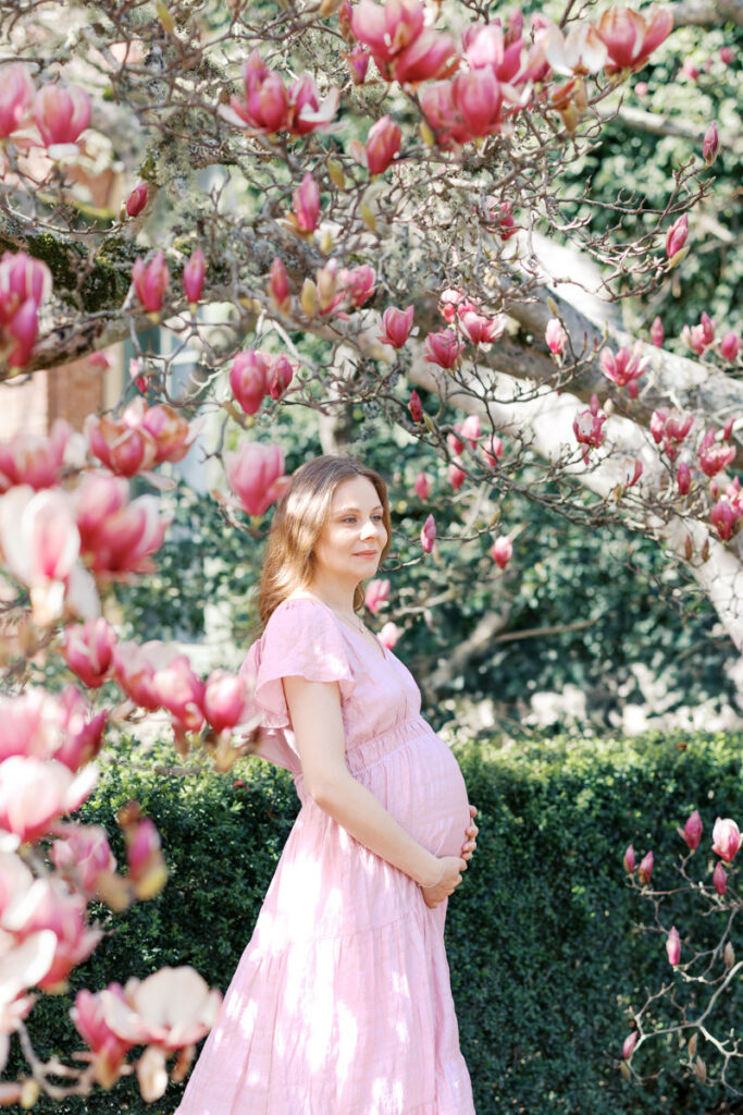 Bay Area Filoli maternity photography session in springtime with magnolias