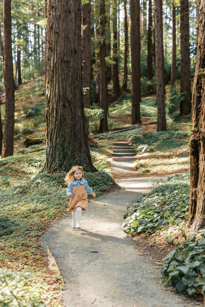 2 year old toddler runs thru the redwood grove at Berkeley Botanical Garden