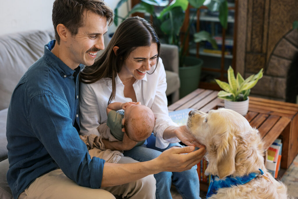 new parents pet dog while holding 2 month old during San Francisco in home newborn photography session