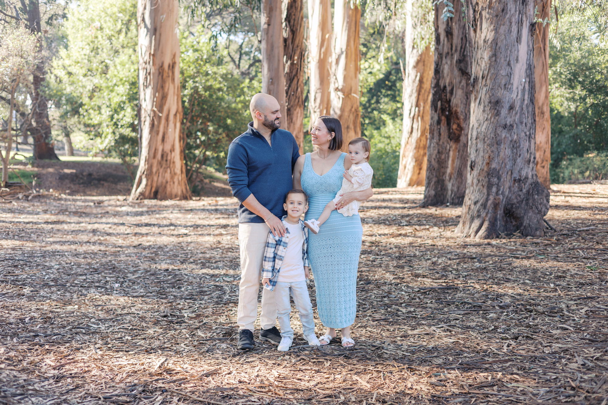 Bay Area fall family photos in Berkeley with a family of 4 in a eucalyptus grove