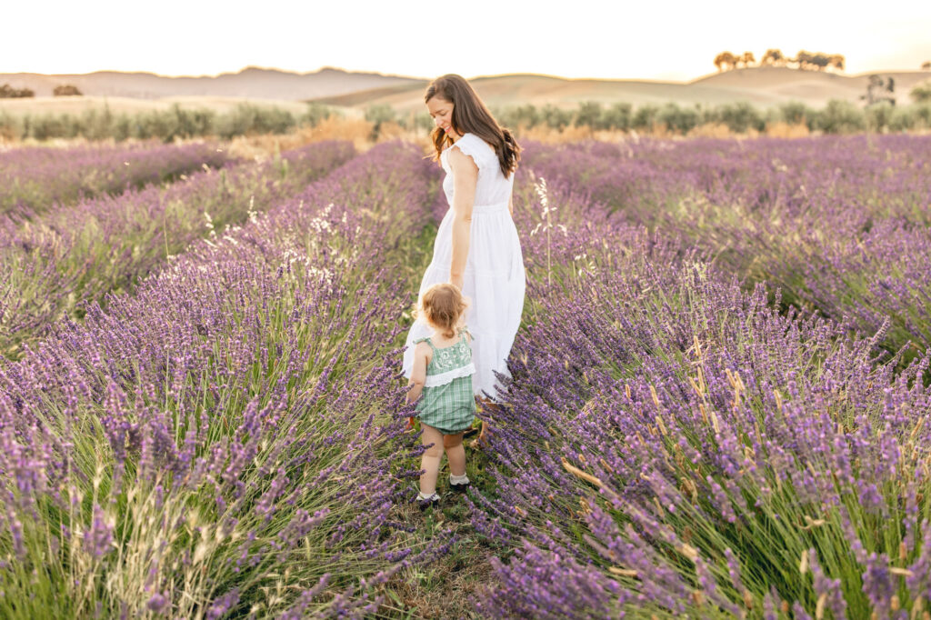 Bay Area family photographer Rebecca Pattison walks thru the lavender fields with her young daughter