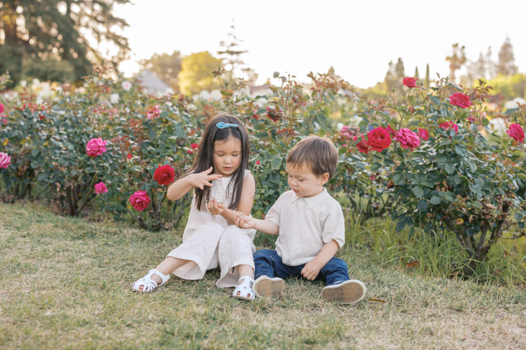 two young children sit in front of roses and play with grass during a San Jose Rose Garden photography session