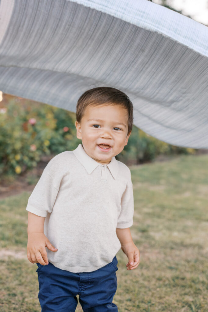 young boy plays peek a boo under a blue blanket next the roses at San Jose Rose Garden during golden hour
