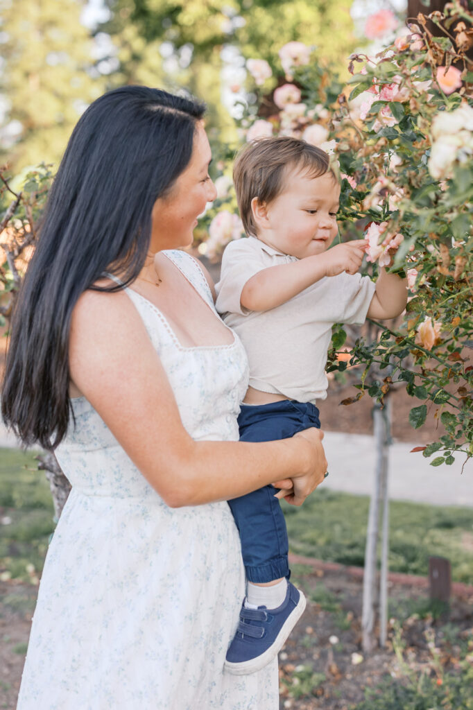 Mother holds young son as he explores the roses at the San Jose Rose Garden during a family photography session