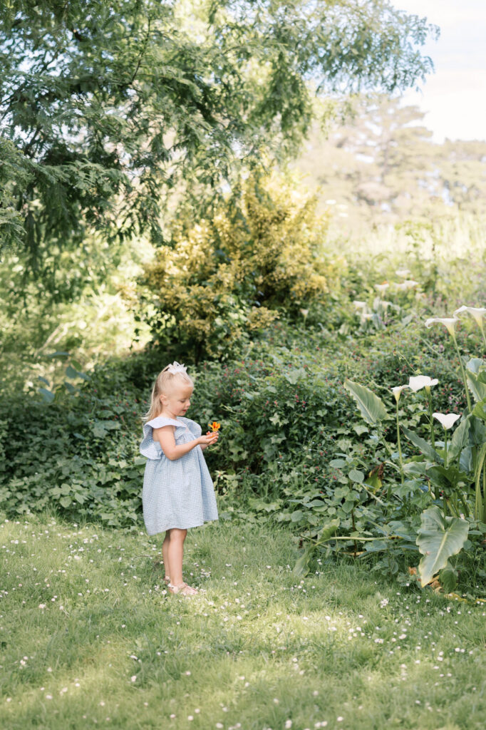 young child plays amongst the flowers at Golden Gate Park during her family photography session