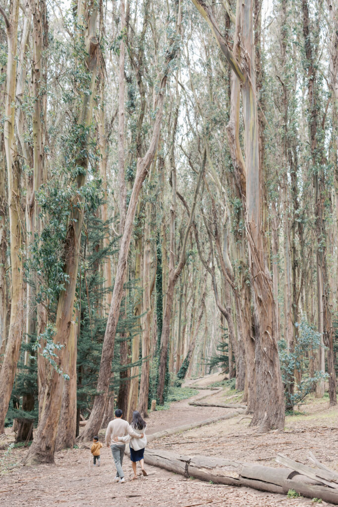 family of three walks amongst the trees in Woodline, San Francisco during their Presidio maternity photo session