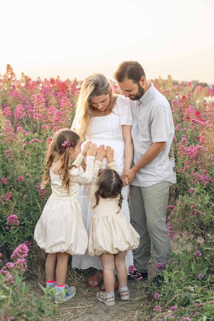 Family of four excitedly focuses on mom's expecting belly during maternity session in East Bay flower fields