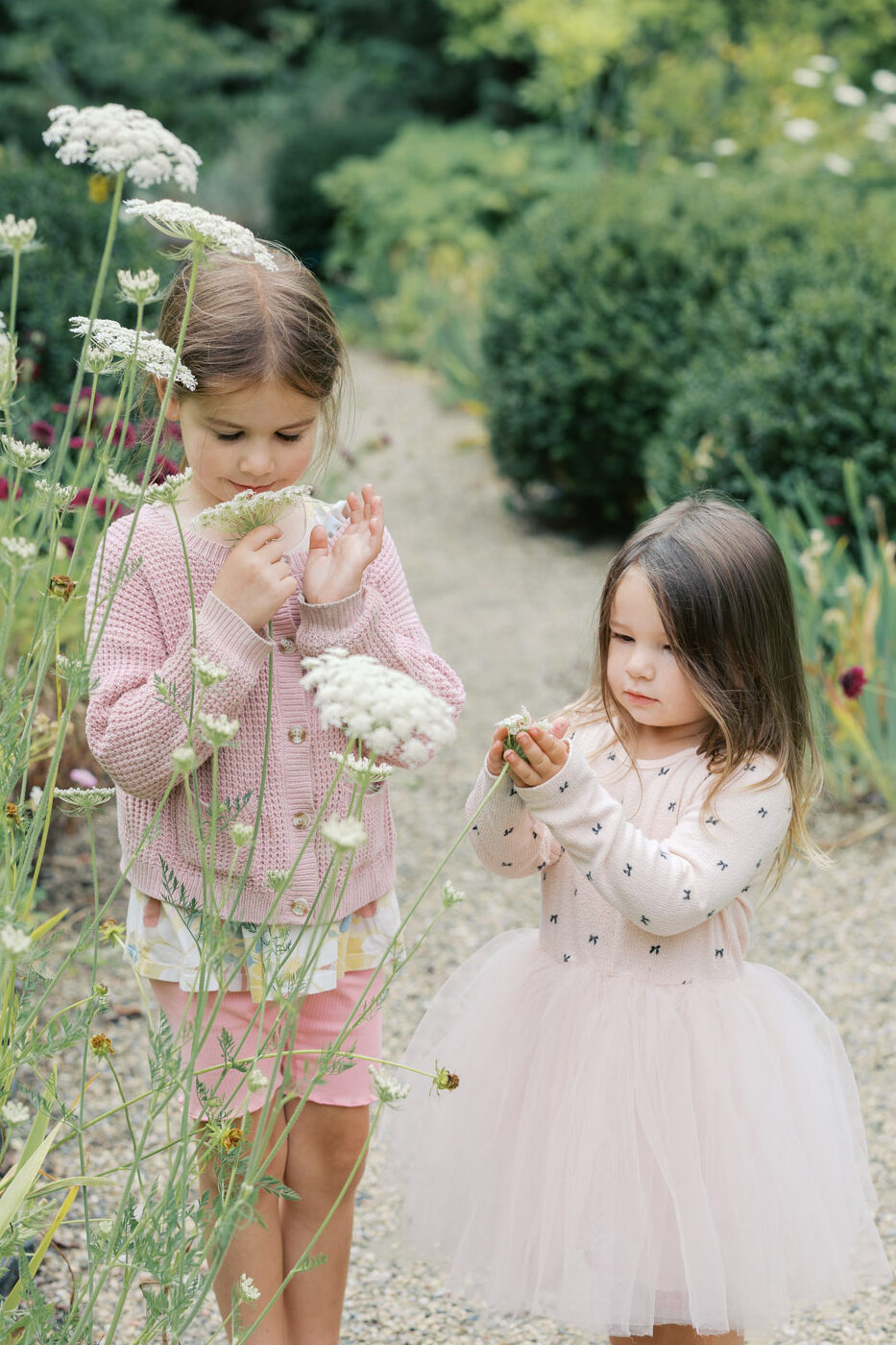 Older sisters explore the East Bay garden during their family's East Bay newborn session celebrating their little brothers arrival