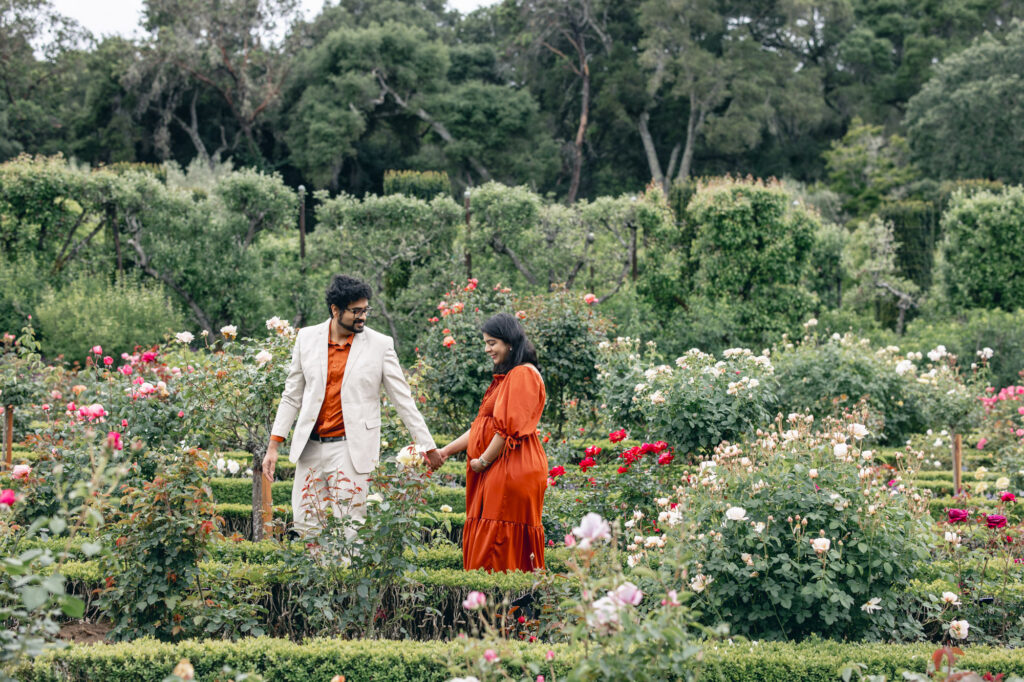 expecting couple walks through the rose garden at Filoli during their Bay Area maternity session